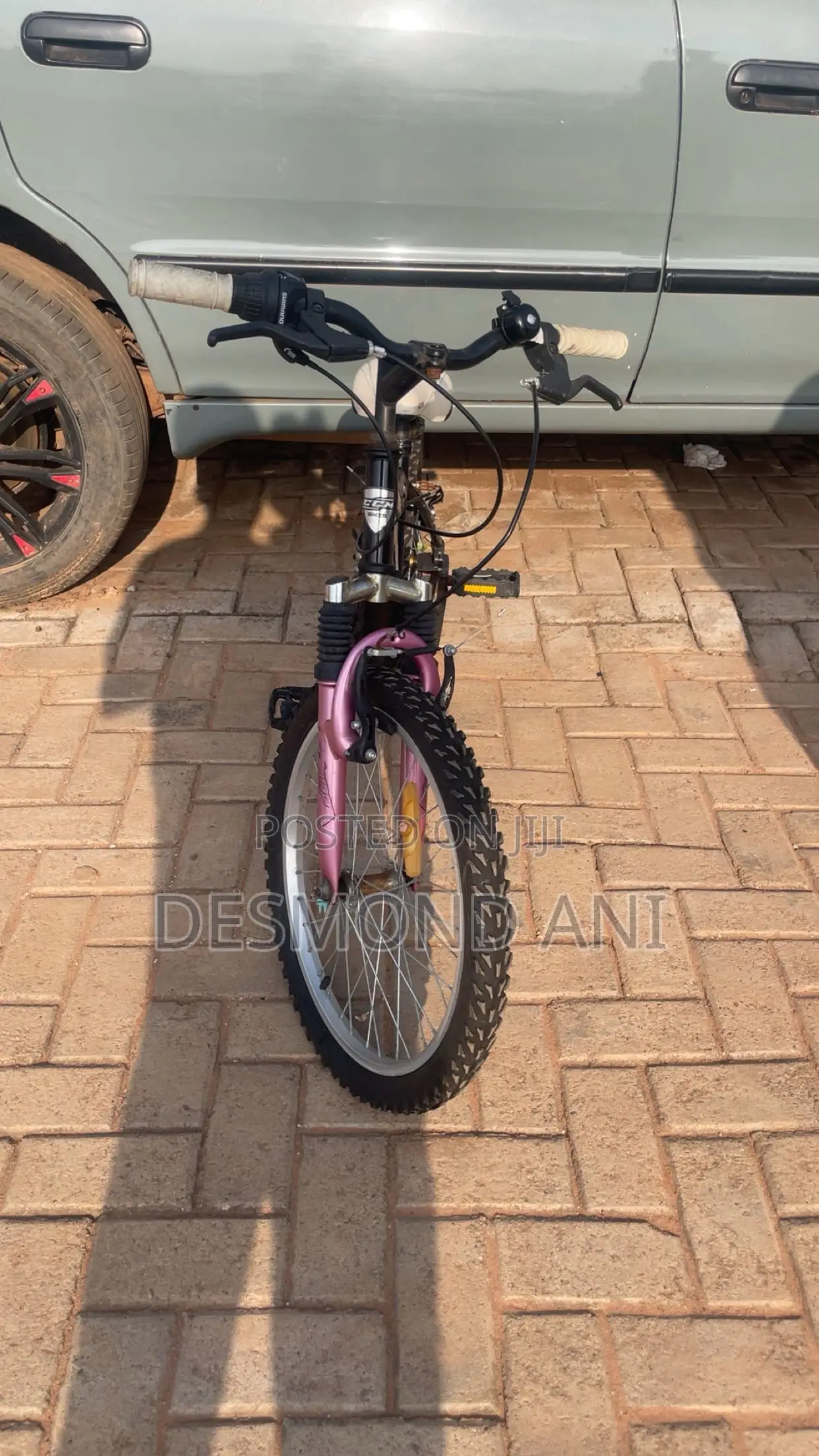 Foreign Bike
