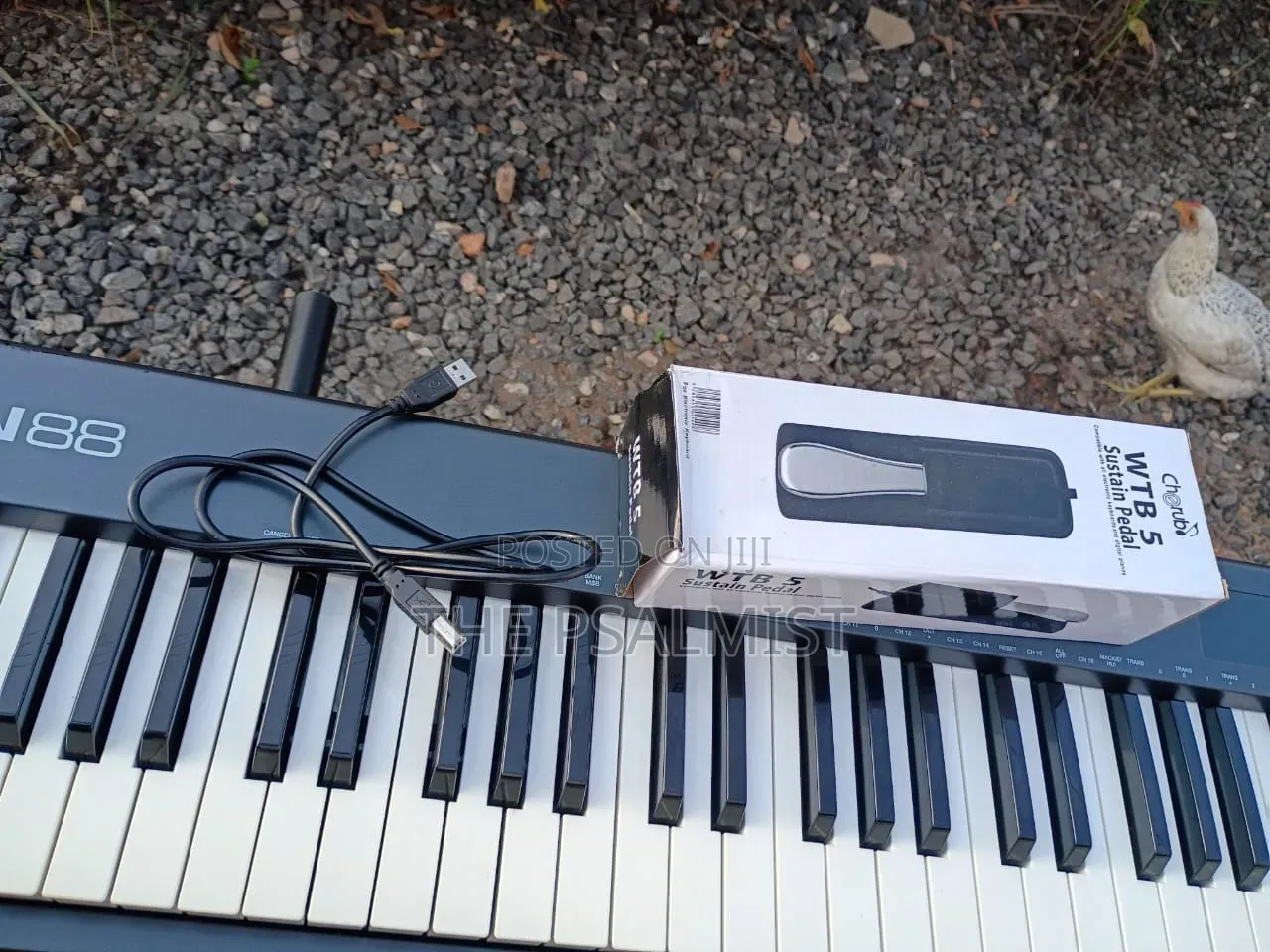 M Audio Keystation 88keys USB Cable Sustain Pedal