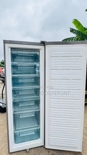 Standing Freezer