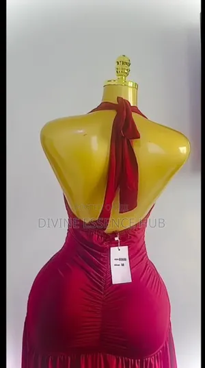 Red Zara Rouge Dress