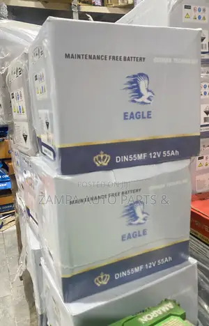 Eagle Car Battery-13 Plate (12v55ah)