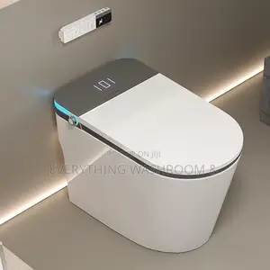 Smart Wc- Intelligent Water Closet S Trap