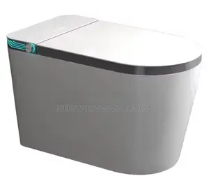 Smart Toilet- Intelligent Wc P Trap