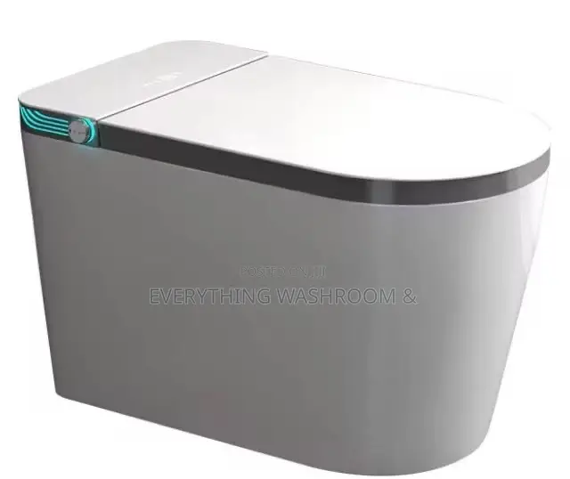 Smart Toilet- Intelligent Wc P Trap