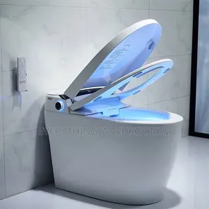 Smart Toilet- Intelligent Wc P Trap