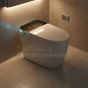 Smart Toilet- Intelligent Wc P Trap