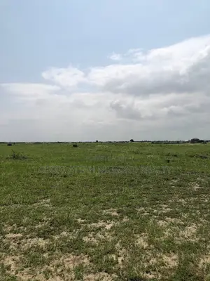 Serene Genuine (Tsopoli Estate) Plots - Residential Lands !
