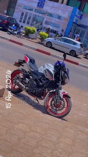 Kawasaki Z400 2022 White