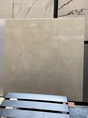 Indian 60x60 Matt Tile