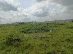 70x100ft Full Plot — Shai Hills, Free Documentation