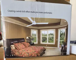 Ceiling Fans
