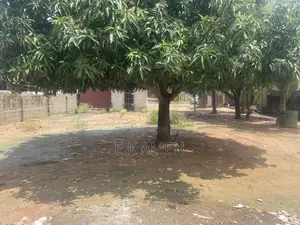 Half Plot for Sale at Spintex ,Silver Street(Residential)