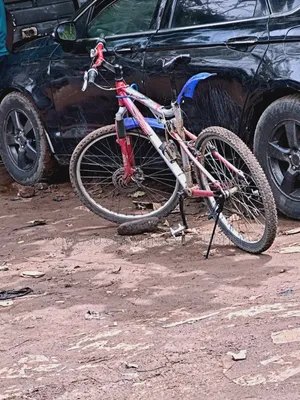 Mountain Bicycle