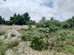 Adarko Jachie Full Plot of Land