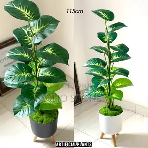 Flower Pot, Flowers and Potted Plant Curated for Modern Living Spaces