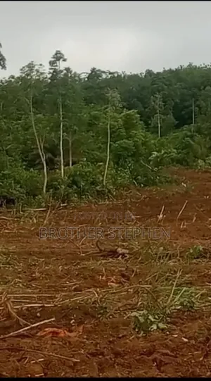Asamankese Farmland for Sale.