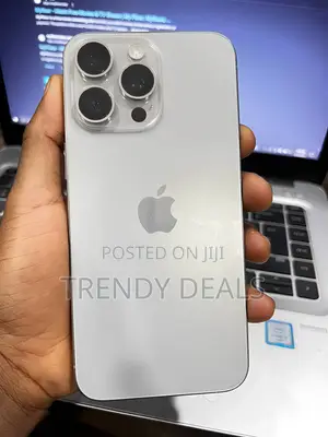 Apple iPhone 15 Pro Max 256 GB Gray