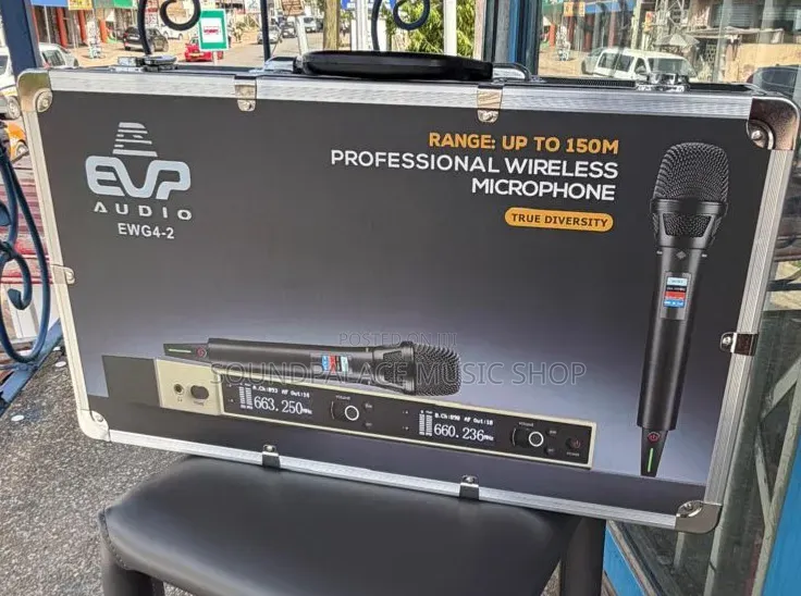 Evp Audio Ewg4 2in1 Professional Wireless Microphone
