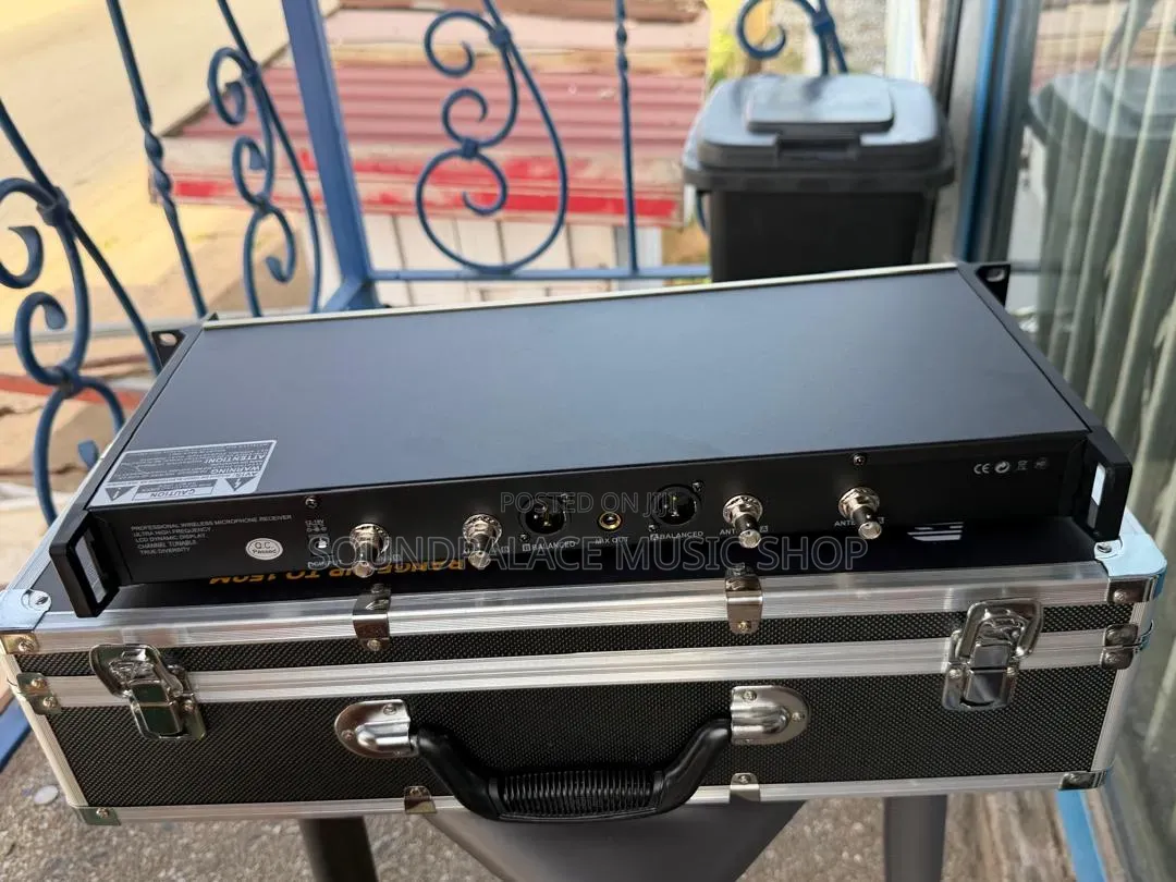 Evp Audio Ewg4 2in1 Professional Wireless Microphone
