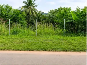 A Roadside Land for Sale at Tuska - Akosombo Opposite Akamuman SHS