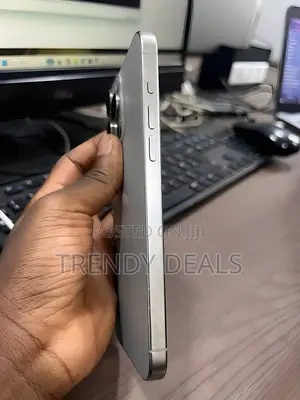 Apple iPhone 15 Pro Max 256 GB Gray