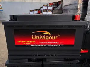 19 Plate Battery