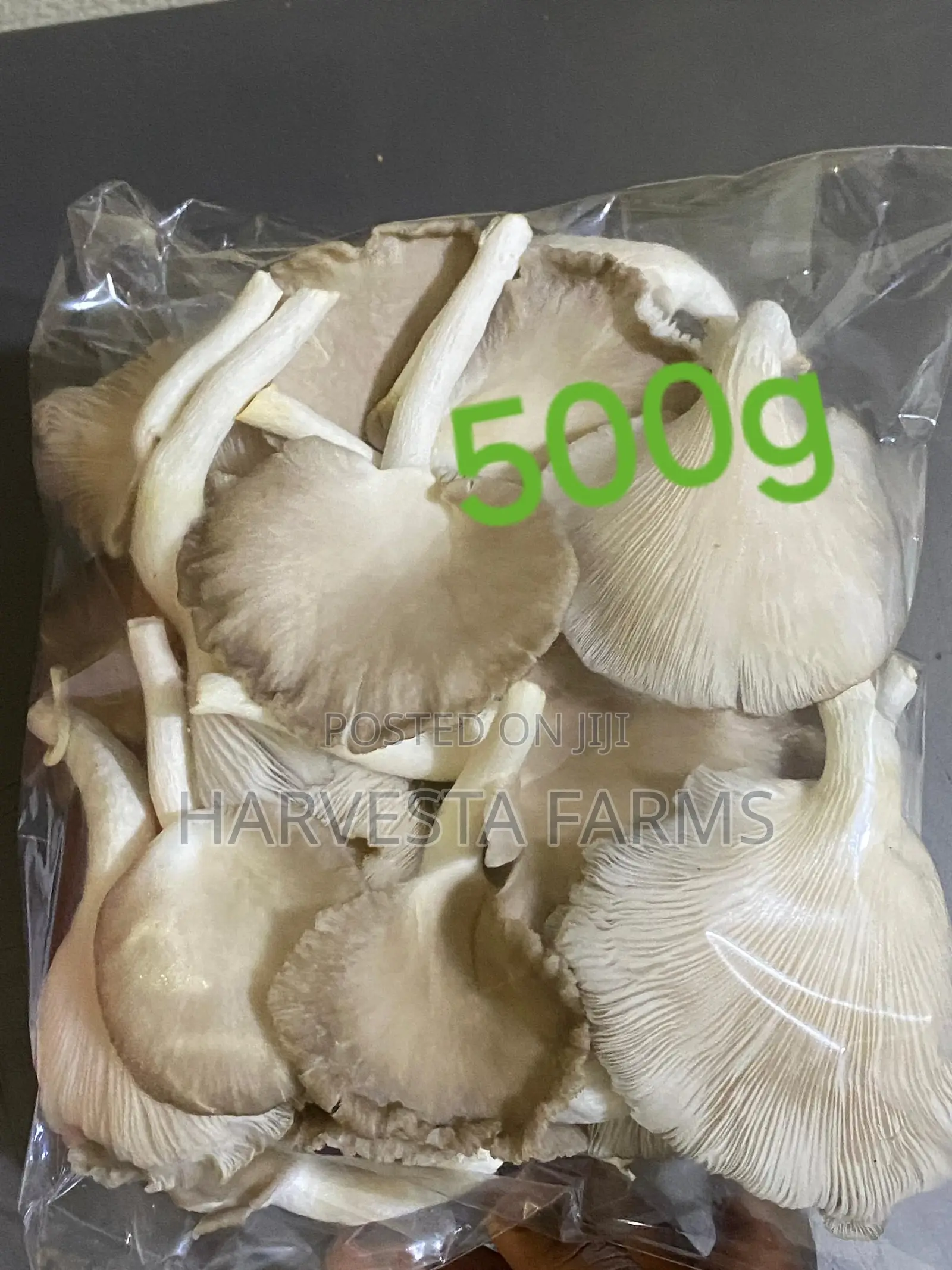 Fresh Oyster Mushrooms