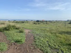 Registered Land With Land Title Certificate Located in Katamanso