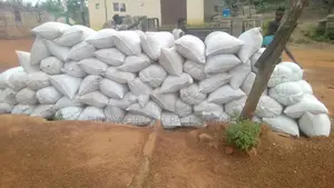 Palm Kernel Shells