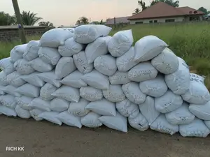 Palm Kernel Shells