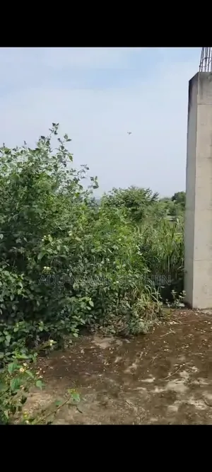 Plot of Land for Sale