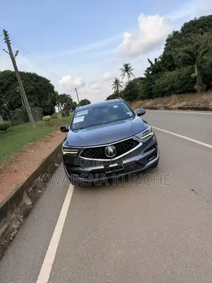 Acura RDX Advance Pkg AWD 2019 Gray