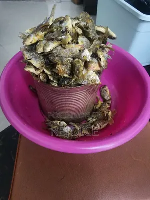 Fried Gborvilolo, Tilapia And Shrimps