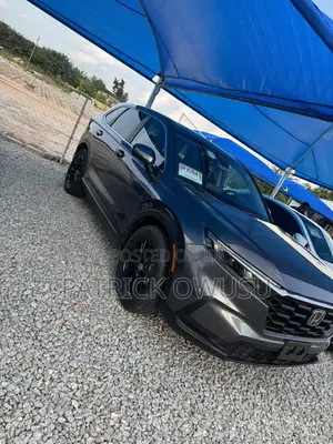 Honda CR-V 2025 Gray