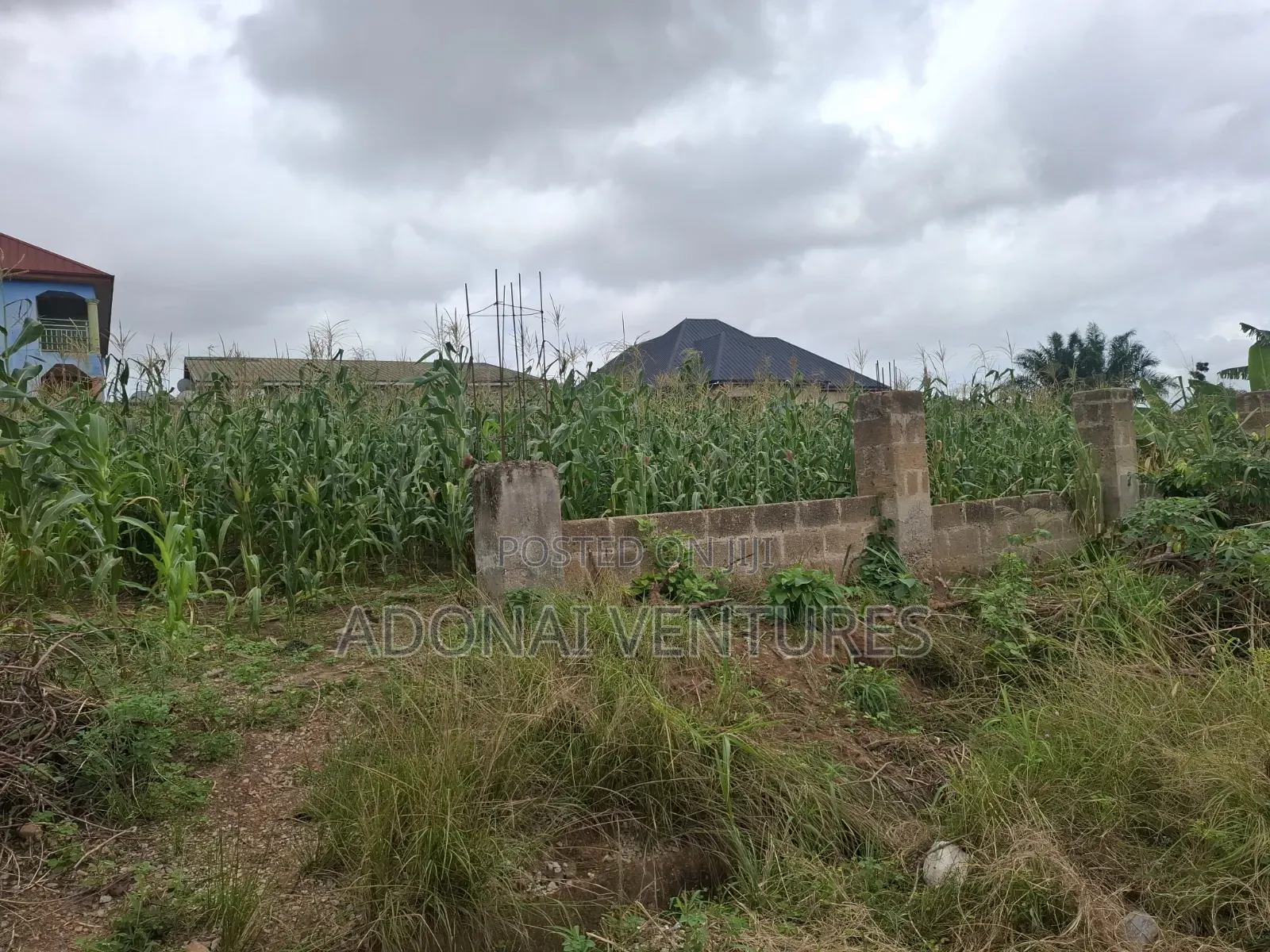 Full Plot of Land for Sale in Daban