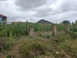 Full Plot of Land for Sale in Daban