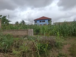 Full Plot of Land for Sale in Daban
