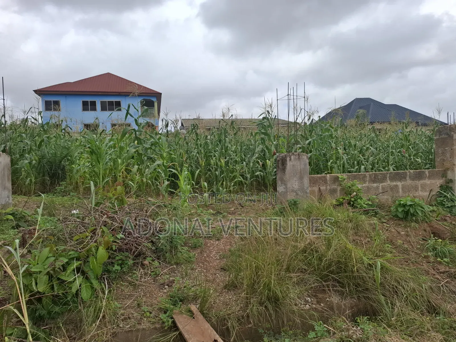 Full Plot of Land for Sale in Daban