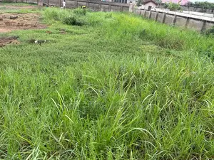 Plot of Land for Sale at Dome Pillar2 No Litigation or Land Guard I