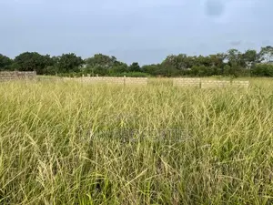 Plot of Land for Sale at Dome Pillar2 No Litigation or Land Guard I