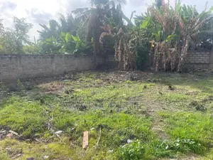 Half Plot of Land for Sale at Dome Pillar2 No Litigation