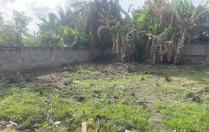 Half Plot of Land for Sale at Dome Pillar2 No Litigation