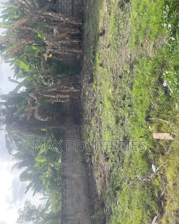 Half Plot of Land for Sale at Dome Pillar2 No Litigation