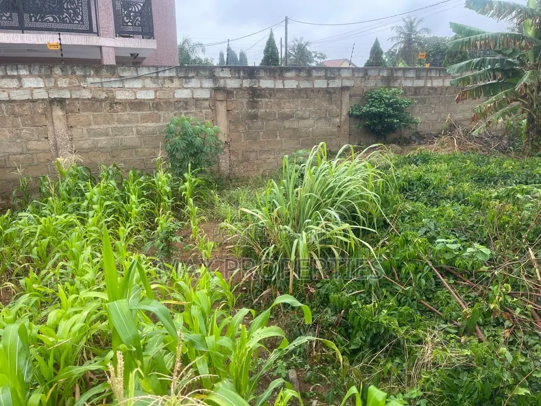 Plot of Land for Sale at Haasto Boshye