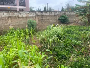 Plot of Land for Sale at Haasto Boshye