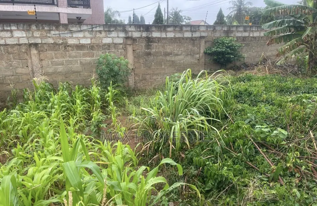Plot of Land for Sale at Haasto Boshye
