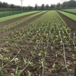 Irrigation Systems For Farms And Properties