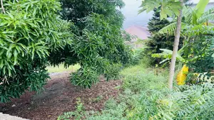 Titled Land for Sale at Gbawe Zero