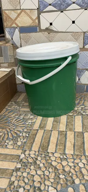 American Paint