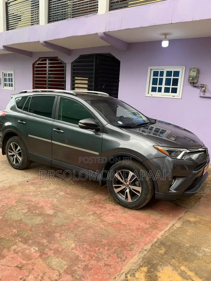 Toyota RAV4 XLE 4dr SUV AWD (2.5L 4cyl 6A) 2018 Gray